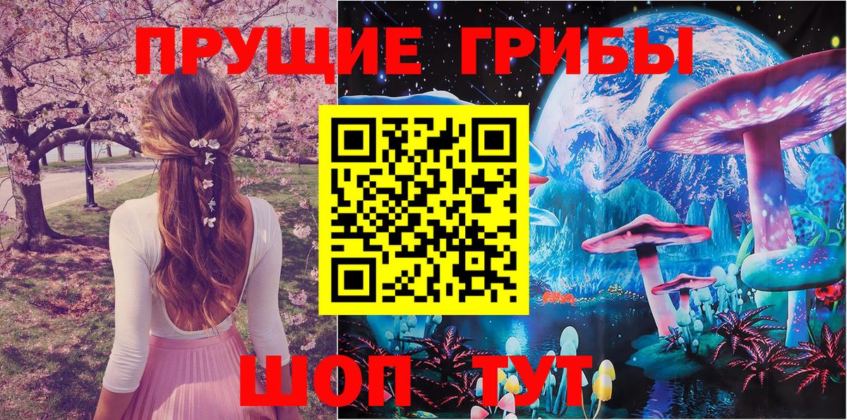 Смоленск  Галлюциногенные грибы GOLDEN TEACHER  Вход с VPN 