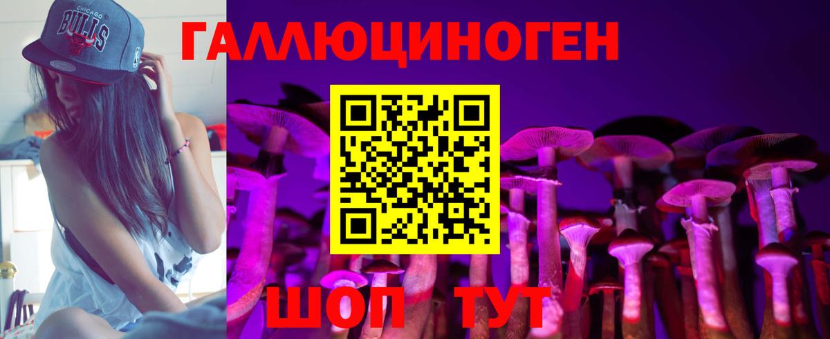 Галлюциногенные грибы Psilocybine cubensis Смоленск
